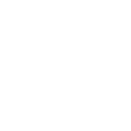 Dummy Text Generator